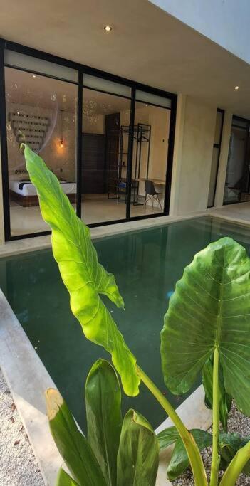 Apartment With Private Pool Tulum Chemuyil Exteriör bild